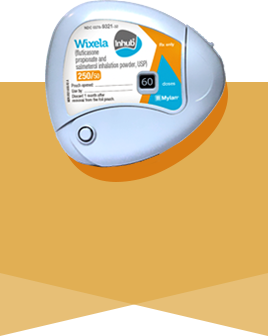 Wixela Inhub 250/50 mcg (fluticasone propionate and salmeterol inhalation powder, USP) product image Wixela Inhub 250/50 mcg (fluticasone propionate and salmeterol inhalation powder, USP) product image